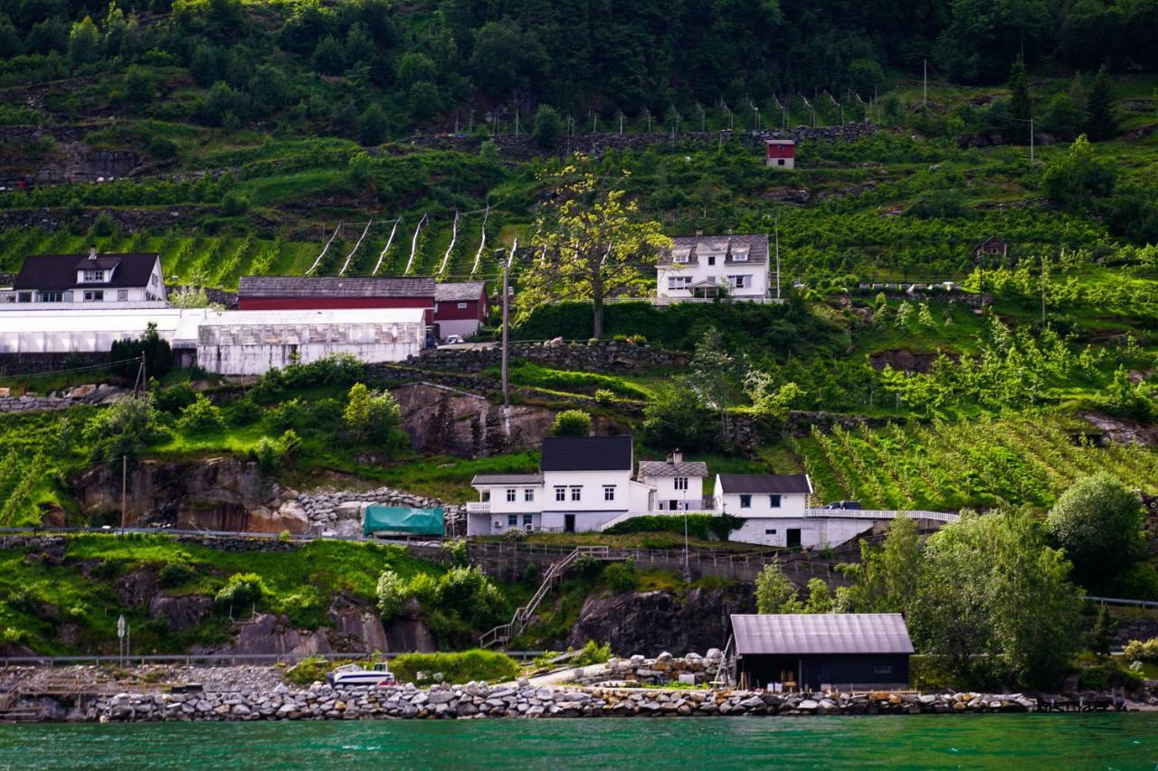 Fjord House Villa Grimo Exterior photo